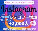 Instagramフォロワーを2000人増やします ◇高品質◇減少補償◇多国籍フォロワー+200名サービス中！ イメージ1