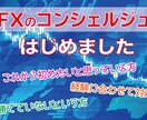 ３名【限定】FXのコンシェルジュはじめます あなた1人だけの力でも稼げるトレーダーに昇華させます! イメージ1