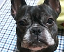 色々な写真提供します どこにでもありそうな写真ですが、お役に立てればと思います イメージ6