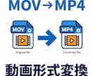 動画形式変換・サイズ変更を行います MP4変換やSNS用サイズ調整に対応します イメージ1