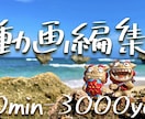 動画編集(カット編集、テロップ挿入等)承ります シンプルな価格体系！丁寧、即納、業界最安値がモットーです！ イメージ3