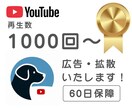 あなたのYoutube動画再生数を加速します 再生数を1000回ご支援＋長期保証付き！ イメージ1