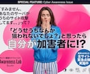 WEBサイトのセキュリティ、本格検査します ウェブアプリケーションの脆弱性を検出しレポート納品します イメージ2