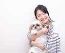 SNSや婚活に！魅力引き出す写真撮影をします 専用スタジオで撮影！あなたの「最高の1枚」を引き出します。 イメージ9