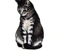 データでお届け／ペットの似顔絵作成します オリジナルグッズやアイコンにご利用ください イメージ1