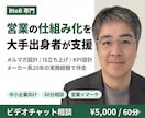 BtoB営業の仕組み化を大手出身者が支援します メーカー系企業20年の営業・マーケ実務経験で伴走 イメージ1