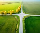 岐路に立つあなたの進むべき道を占います ☆2択、3択、色んな選択に迷った時に。カードで心眼鑑定 イメージ2