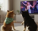 実写風の動物AI動画制作/台本〜編集します 実写みたいに動く。動物AIショートを1本から制作します イメージ8
