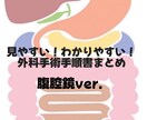 消化器外科手術手手順書お渡します あなたの自己学習をサポートします！これで知識も理解も深まる！ イメージ1