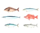 食べ物や商品を手描きの水彩画で描かせていただきます 一目見ておいしそう！と思ってもらえる絵を心を込めて届けます イメージ5