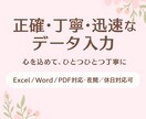 Excel/Wordデータ入力を丁寧に代行します 初めての方にも安心！迅速かつ正確に入力いたします イメージ1