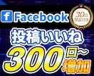 Facebook投稿いいね300回〜増加します 【30日保証】高品質な投稿いいね イメージ1