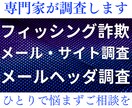 フィッシング詐欺メール・サイトの調査判定をします 不審なメールが届いたけど本物か判断できないかたをサポート イメージ1