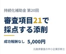 第20回｜持続化補助金計画書を審査項目で添削します 第20回対応｜21項目で採点｜成功報酬なし イメージ1