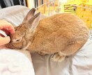 どんなお悩みでもお聞きいたします ISFJという優しい性格を持ちながら、親身にお聞き致します！ イメージ1