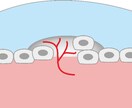 理系のイラスト描きます 生物、化学、物理などの説明用のイラストを作成いたします イメージ1