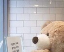 がんばってるあなたをそっと受け止めます 恋愛・仕事・人生モヤモヤしてるあなたへ。安心して話せる相談室 イメージ1