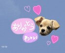 LINEスタンプ作成致します お子様や愛犬の思い出に残るものを残しませんか？ イメージ1