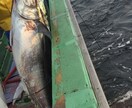 漁業や漁師、海産物等の気になる質問にお答えします 元漁師が質問に答えます。『魚介類の仕入れを安くしたい』など イメージ1