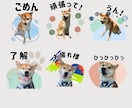 写真からLINEスタンプ作ります ペットやお子様のお写真を普段使いできるスタンプに仕上げます！ イメージ1