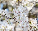 片思いの相手の気持ちを心理分析で丁寧に読み解きます 話を聞いて、前に進むための整理をしたい方におすすめです。 イメージ1