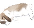 ペット・動物の水彩風イラストを描きます ペットのお写真をほんわかした水彩風のデジタルイラストに イメージ2