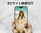 高品質！低価格！Shopifyでサイト構築します 初めてでも安心！15,000円でECサイト構築いたします！ イメージ1