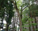 こんな世の中だからこそ、人との繋がりに貢献します 土日ならいつでもあなたの時間に合わせます！ イメージ1