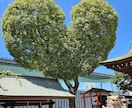 お試し用霊視共鳴伝授☆質問は多岐に渡り全体視ます ひとまずお試しで今の自分を知り課題を可視化する！お試し版 イメージ1