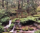 悩み事・知りたいことご相談下さいスッキリ解決します ☆恋愛/仕事/人生/etc...☆あなたに必要なメッセージ☆ イメージ5