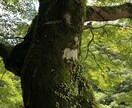 どんなお話でも、お聞きします 誰かに話してすっきりしましょう！ イメージ1