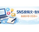 SNS投稿文・告知文を分かりやすく丁寧に作成します 文章が苦手な方・SNS初心者の方も安心してご依頼ください イメージ1