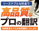 プロが★高品質★に英語 翻訳します 迅速に英訳 ビジネス英語 翻訳 TOEIC940 イメージ1