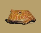思い出に撮られました生き物をそのまんま映し出します 写真からそのまんま映し出したイラスト イメージ5