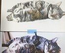 猫の似顔絵描きます 色鉛筆画で写真そっくりに描きます。 イメージ8