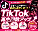TikTok直近5投稿の日本人再生回数を増やします 直近5投稿~の再生回数を拡散します！独自の広告拡散！ イメージ6