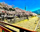 画像編集承ります 希望に合わせて編集いたします。 イメージ1