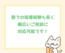 作業療法士×塾講師の知識で子育てサポートします ２日間チャットし放題で子どもに関するお悩み何でも！ イメージ3