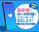 30～50RT超！最安値！ツイッターで宣伝します 拡散・集客・宣伝に！万垢がPR！ イメージ1