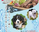 最短納品まで3日！チラシ・フライヤー作成します 目で見てすぐわかる！あなたのサービスを表現します イメージ2