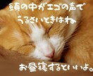 最近会話してない、社会から孤立してる気分になります 『誰かと繋がりたい、本音で話したい』お気持ちに寄り添います イメージ3