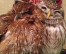 心身で闘病中、落ち込んでいる方のお話、うかがいます 対人関係でのハラスメントや精神疾患の辛さや苦しみを共有します イメージ1