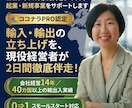 海外ビジネスの起業・新規事業を0からサポートします 経営14年・40カ国取引｜ココナラPRO&現役経営者が伴走！ イメージ1