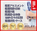 看護過程/看護実習/看護課題を手厚くサポートします 総販売800件の信頼と実績！看護学生・看護師の強い味方！ イメージ1