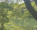 心のモヤモヤをゆるく話せます 誰にも言えないこと、ここなら話せます イメージ2