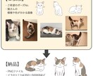 猫のデジタルイラストを3点描きます 飼い猫さん・看板猫さん1匹を、やわらかい雰囲気のイラストに♪ イメージ4