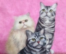 羊毛画であなたの猫ちゃんをそっくりに作ります どこにもない平面の羊毛アート！A4(21.1×29.8cm) イメージ2