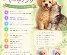 うちの子 チャクラリーディングを画像にします 言葉で伝えられない、大切な家族の心とエネルギーを健康診断 イメージ2