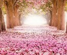 ズバリ的中！リアルタロットで占います ★あなたの恋愛の未来をタロットで見てみませんか⁇★ イメージ1