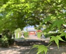 直接対話でスピリチュアルカウンセリングいたします 自分自身で幸せな人生を創る！プロスピリチュアラーとの対話。 イメージ4